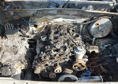 2017 Toyota Tacoma Sr5 z USA, uszkodzony, nr VIN 5TFAX5GN8HX080214